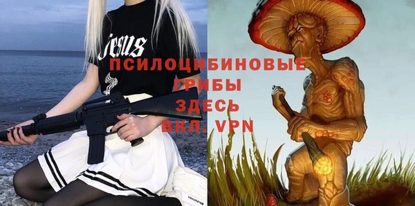 МДПВ Алексеевка