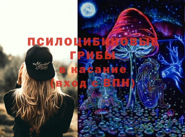 ПСИЛОЦИБИНОВЫЕ ГРИБЫ Абинск