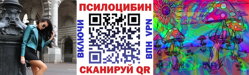 как найти закладки  Гдов  Галлюциногенные грибы Psilocybe 